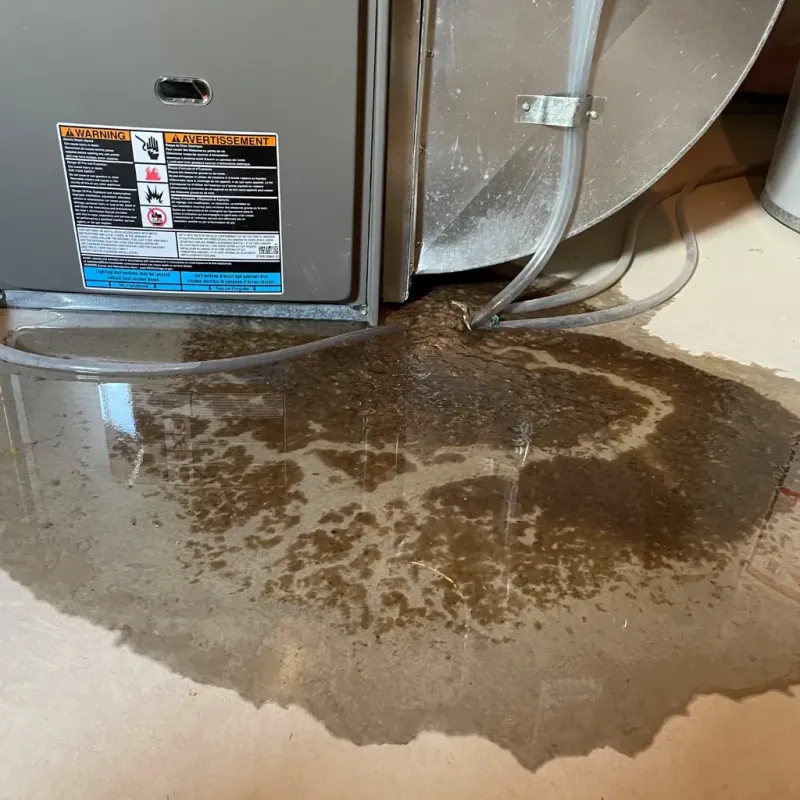 Appliance Leak Cleanup in Pike County, OH